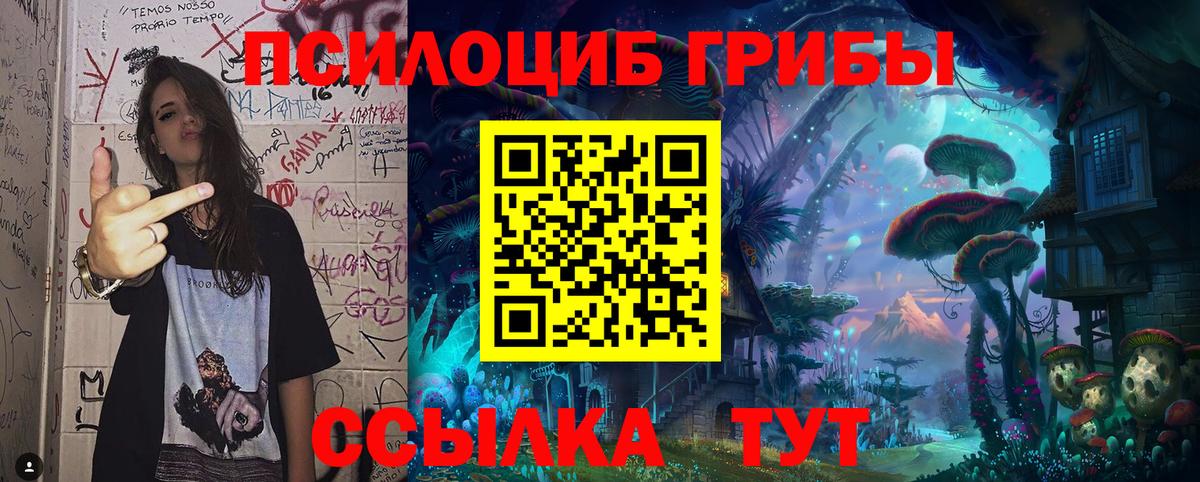 Псилоцибиновые грибы Magic Shrooms Якутск